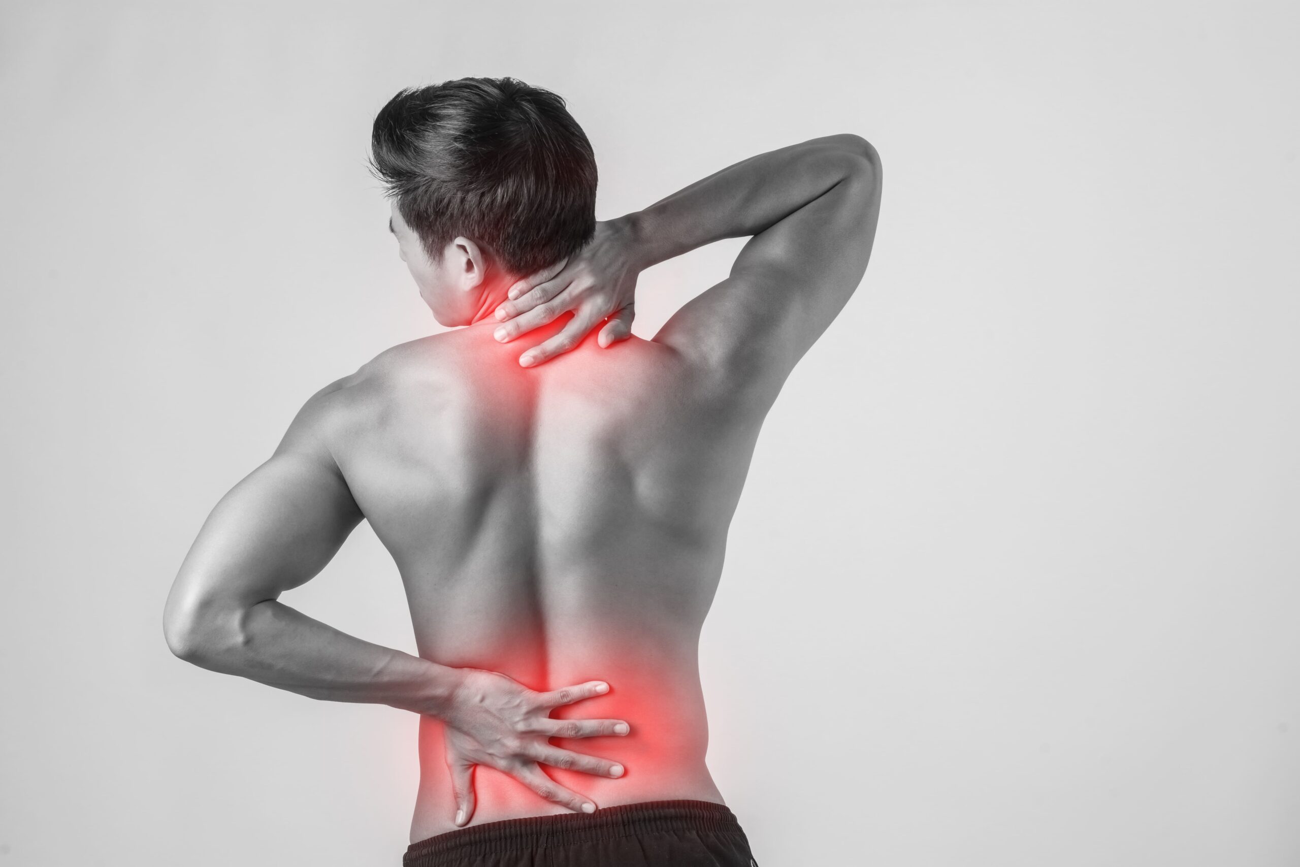 The Inflammation in Back Pain