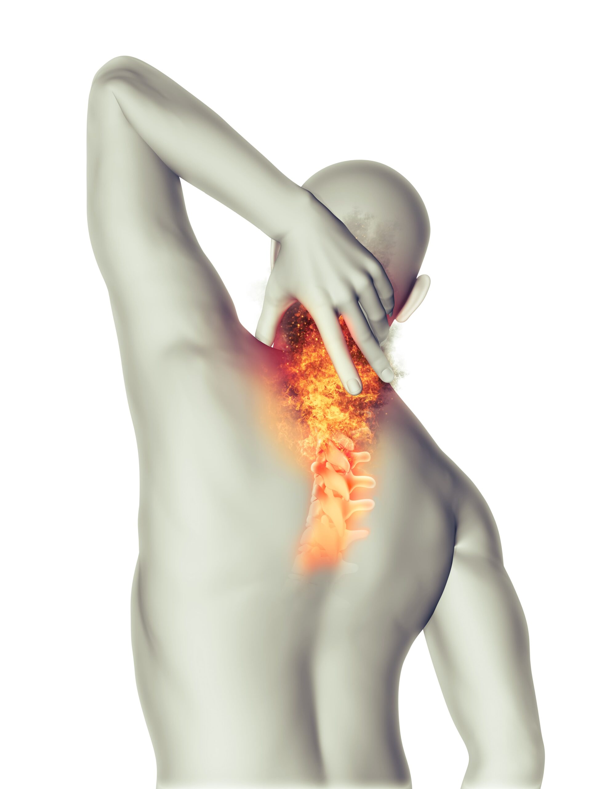 causes of back pain